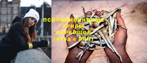 mix Абаза